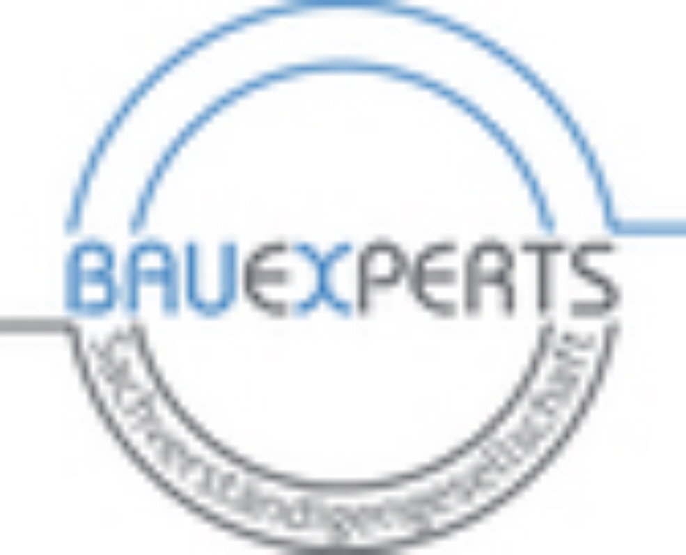 BA&Uacute;EXPERTS LOGO